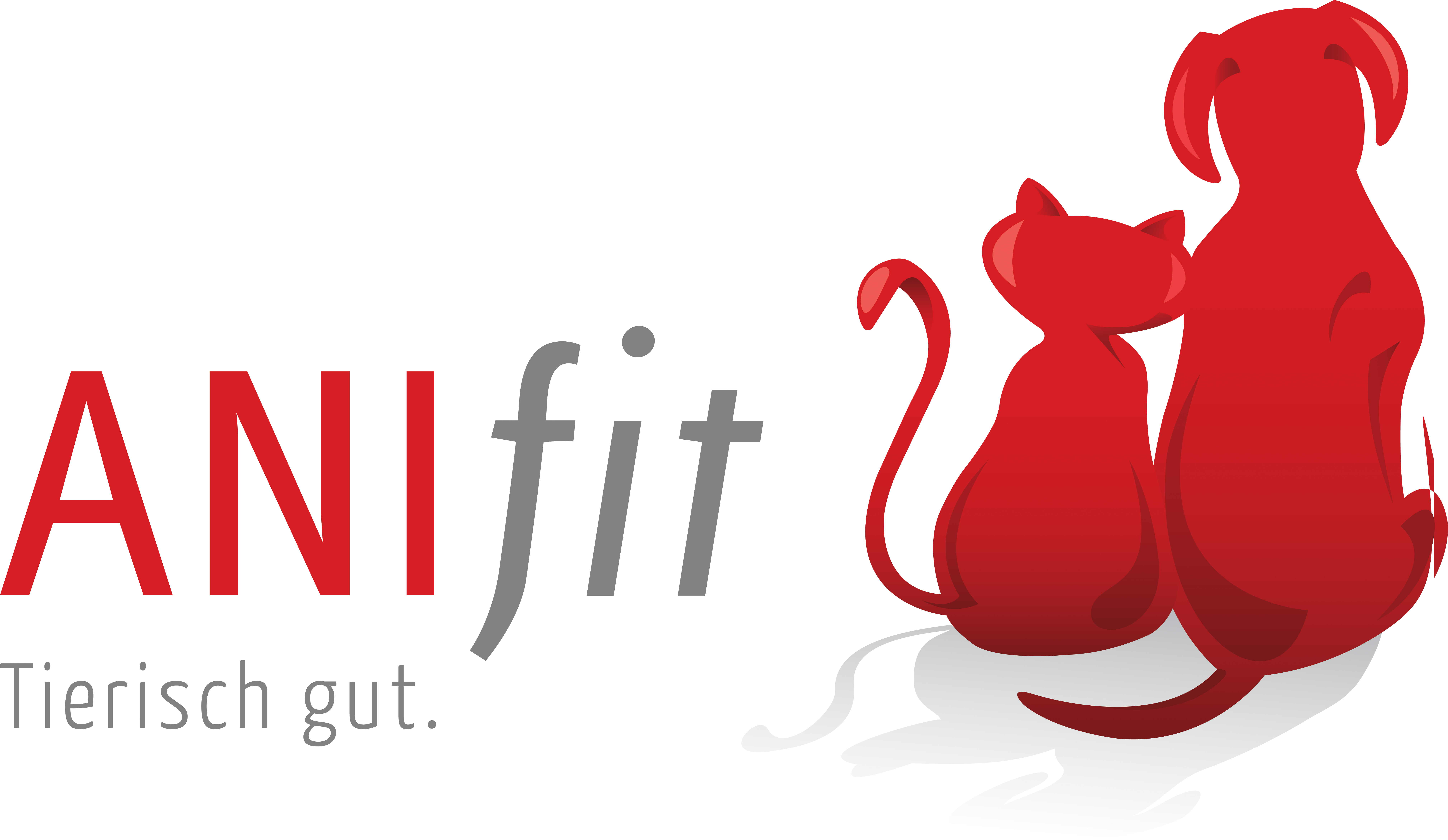 Anifit Logo